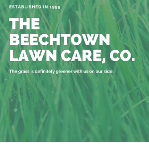 Green and White Grass Lawn Care Flyer