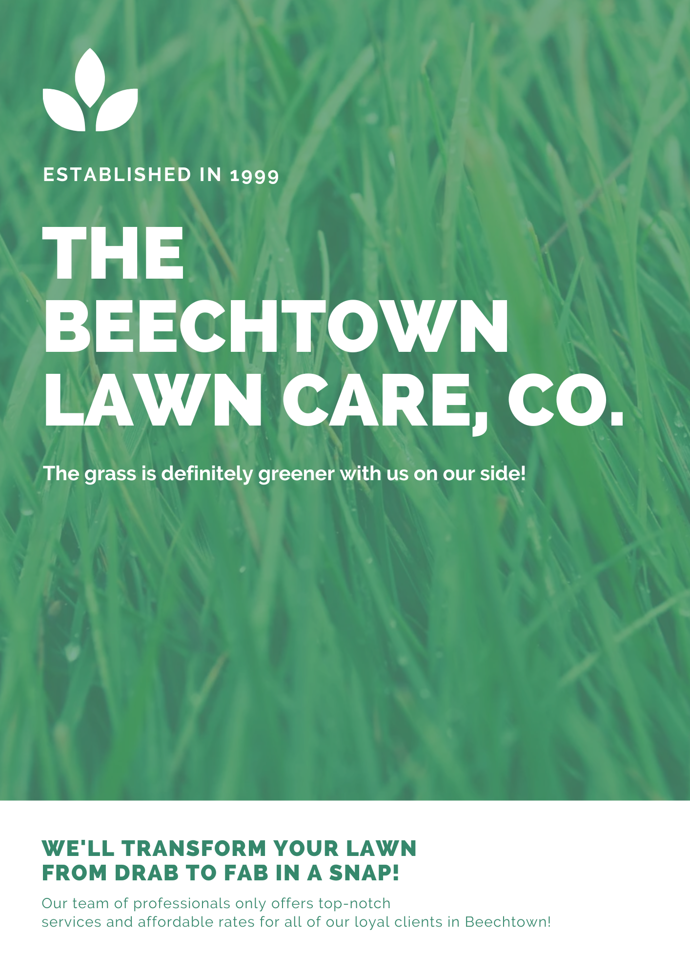 Green and White Grass Lawn Care Flyer